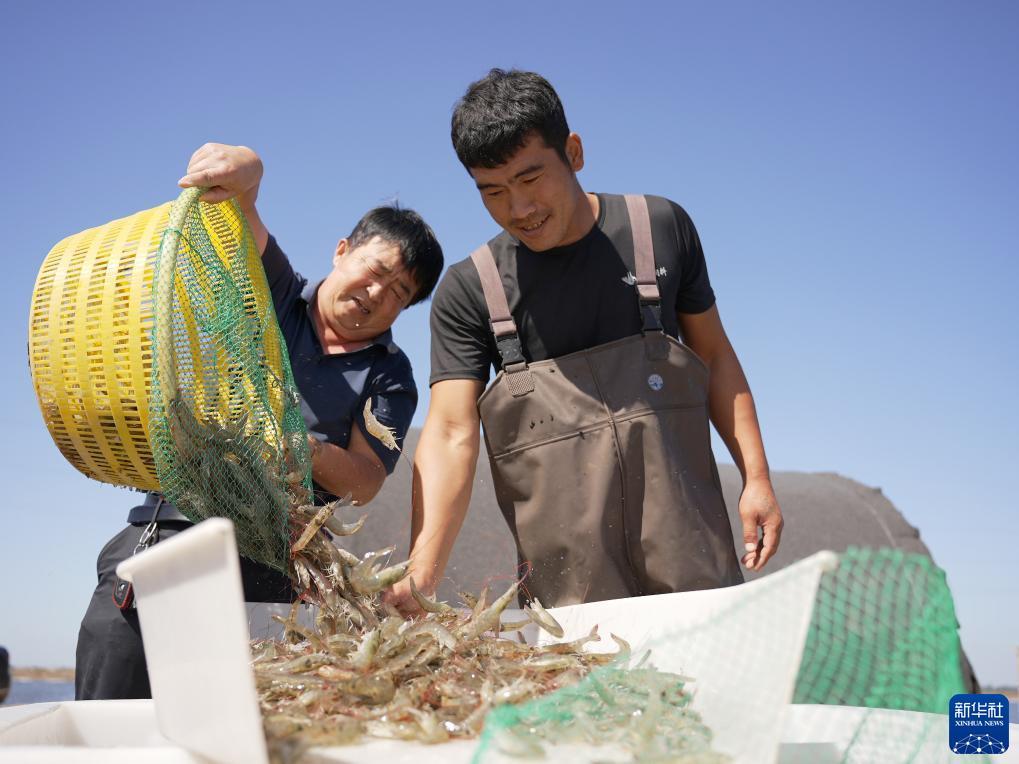 捕鱼游戏电脑版在线下载
